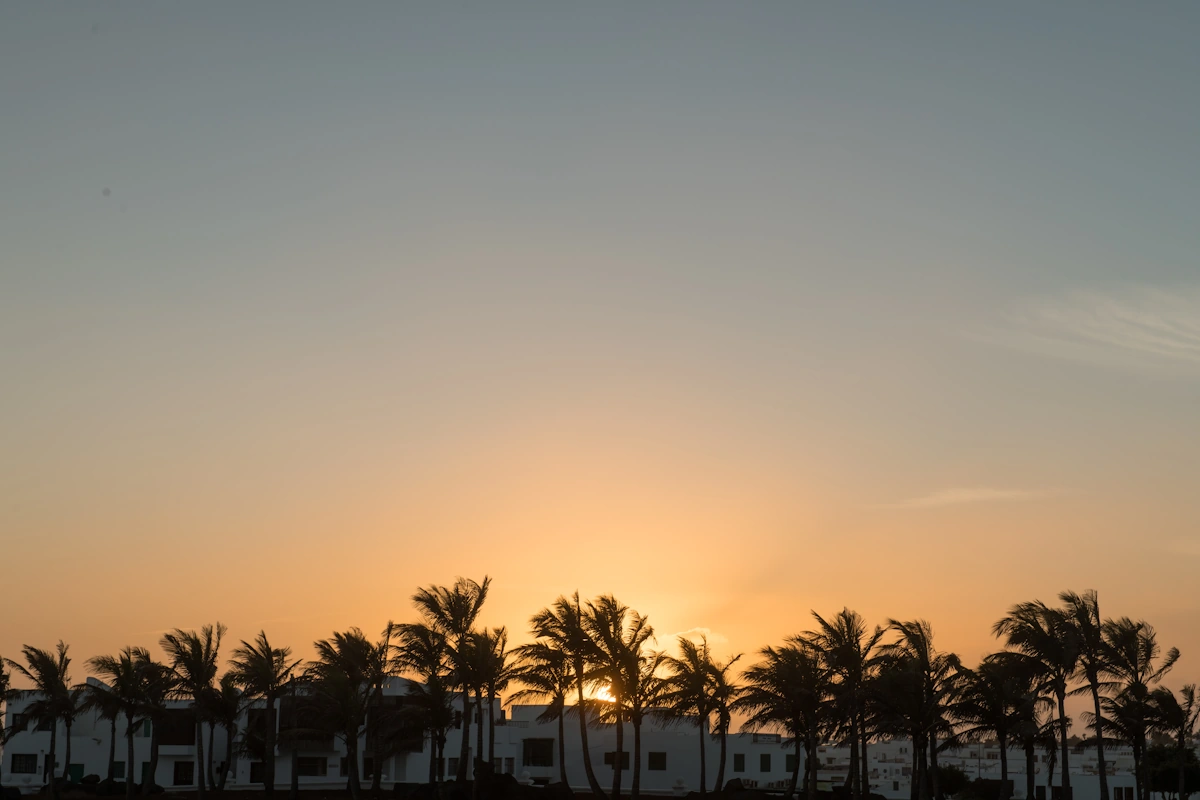Voici que faire à Djerba quand novembre joue les trouble-fêtes