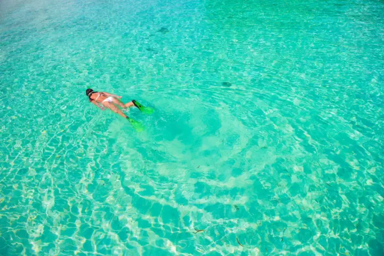 Voici quoi faire à La Réunion sans marcher