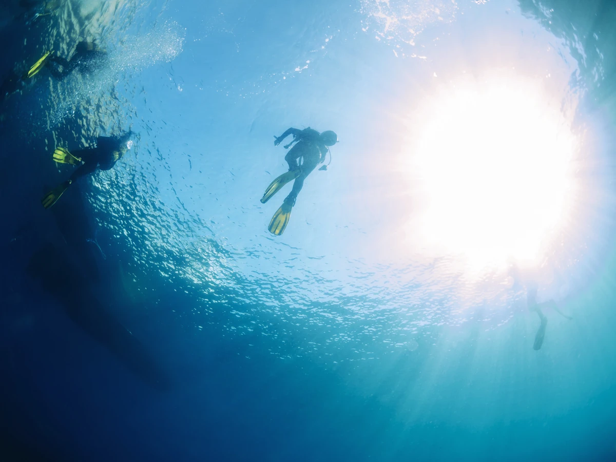 Voici quoi faire dans l'eau à Hurghada en février