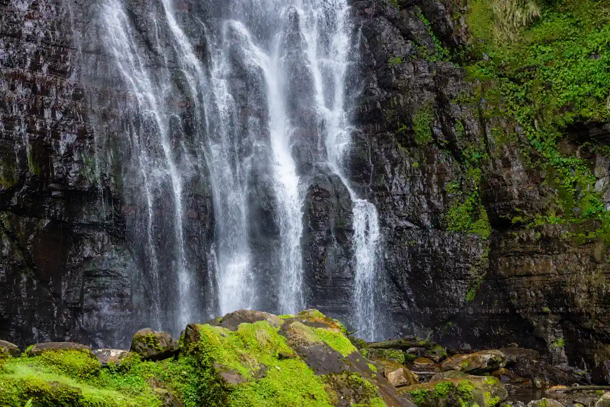 cascades black river gorges fevrier ile maurice vegetation luxuriante