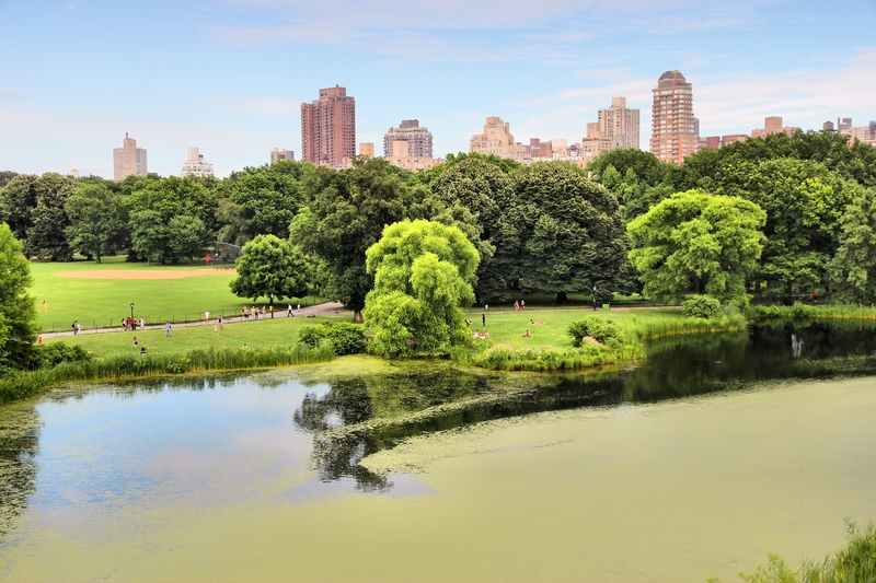 Central Park à New York